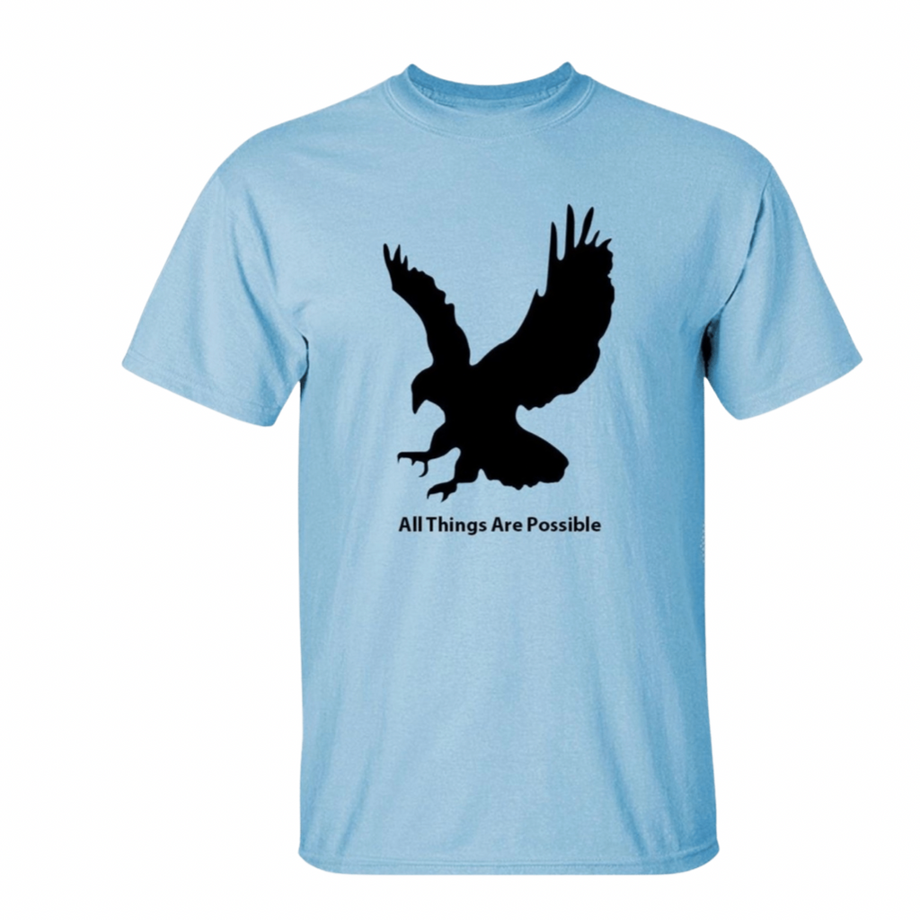 Eagle T-shirt - Baby Blue